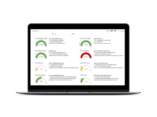 [LEASYFPRO_M] Contabilità Forfettari PRO 12 mesi "CONTABILEASY" (copia)